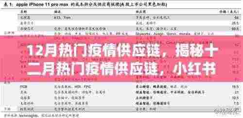 揭秘十二月疫情供应链趋势，小红书带你洞悉行业热点