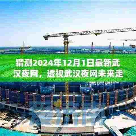 透视未来，2024年武汉夜网的新猜想与观点碰撞