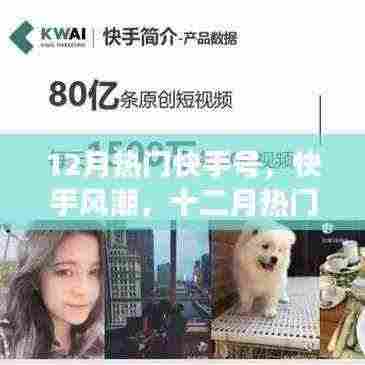 十二月热门快手号的崛起与影响,快手风潮席卷全网