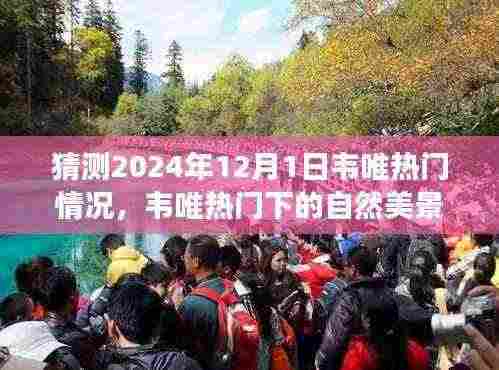 韦唯2024年12月1日热门展望,自然美景下的宁静之旅