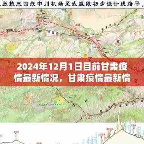 甘肃疫情最新动态,新冠病毒应对指南(截至2024年12月)