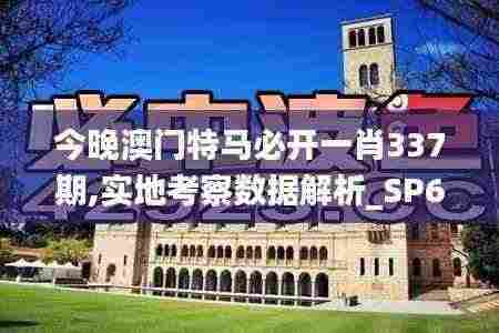 今晚澳门特马必开一肖337期,实地考察数据解析_SP64.926-1