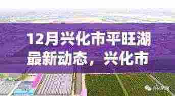 兴化市平旺湖最新动态,聚焦发展影响与各方观点热议