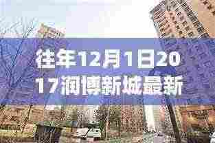 解读润博新城最新消息背后的热议与思考,历年12月1日回顾与洞察