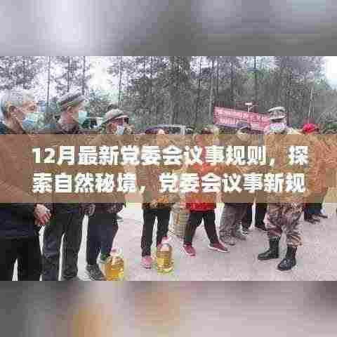 党委会议事新规则,探索自然秘境的心灵之旅