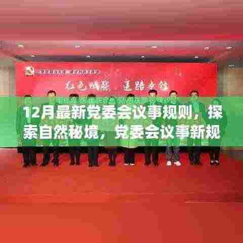 党委会议事新规则,探索自然秘境的心灵之旅