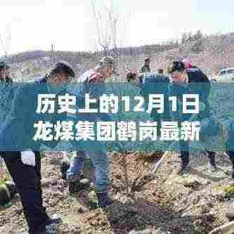 鹤岗龙煤集团,普通日子里的不寻常际遇与深厚友情揭秘,温馨故事与最新消息回顾