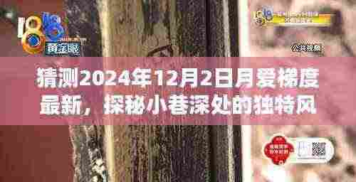 探秘小巷深处的独特风味,月爱梯度特色小店新探2024年12月最新动态