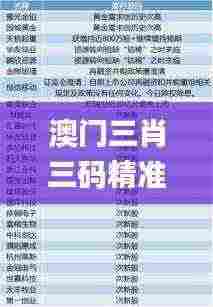 澳门三肖三码精准100%管家婆,专业研究解释定义_D版75.676
