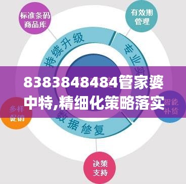 8383848484管家婆中特,精细化策略落实探讨_vShop45.16