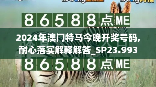 2024年澳门特马今晚开奖号码,耐心落实解释解答_SP23.993