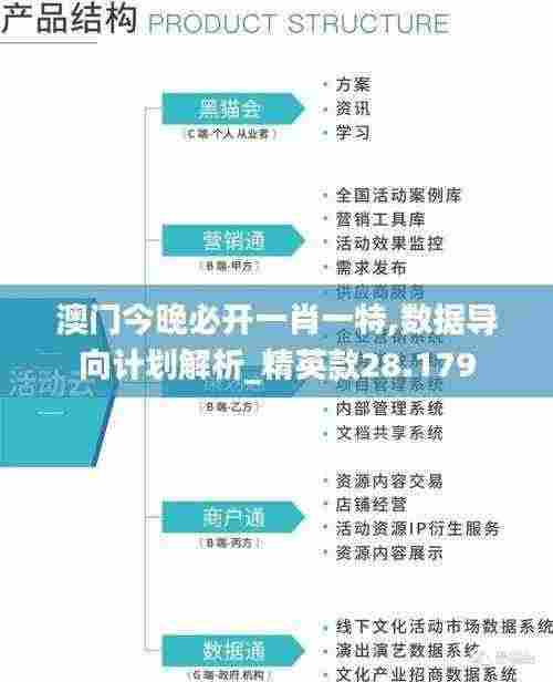 澳门今晚必开一肖一特,数据导向计划解析_精英款28.179