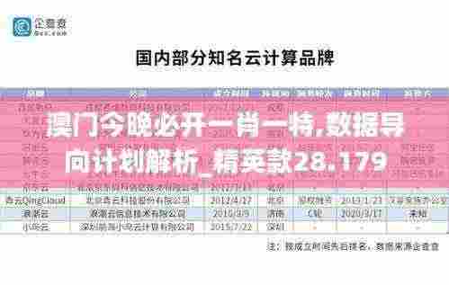 澳门今晚必开一肖一特,数据导向计划解析_精英款28.179