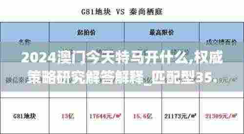 2024澳门今天特马开什么,权威策略研究解答解释_匹配型35.38