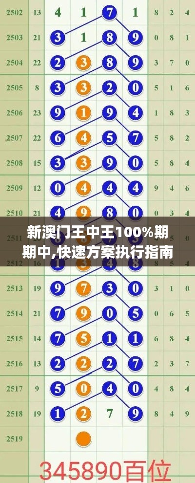 新澳门王中王100%期期中,快速方案执行指南_潮流集69.769