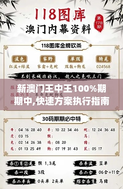 新澳门王中王100%期期中,快速方案执行指南_潮流集69.769