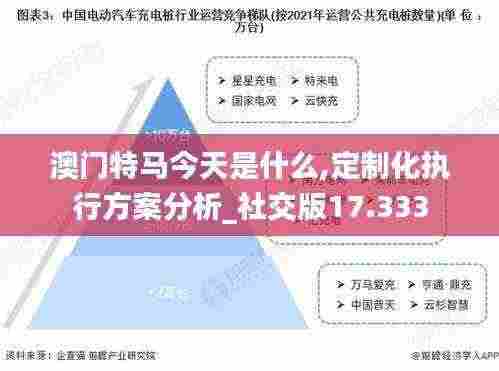 澳门特马今天是什么,定制化执行方案分析_社交版17.333