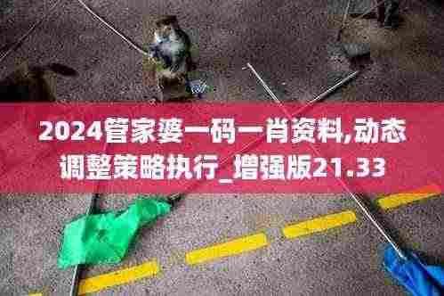2024管家婆一码一肖资料,动态调整策略执行_增强版21.33