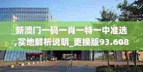 新澳门一码一肖一特一中准选,实地解析说明_更换版93.608