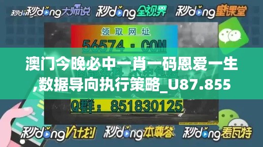 澳门今晚必中一肖一码恩爱一生,数据导向执行策略_U87.855