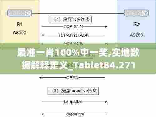 最准一肖100%中一奖,实地数据解释定义_Tablet84.271