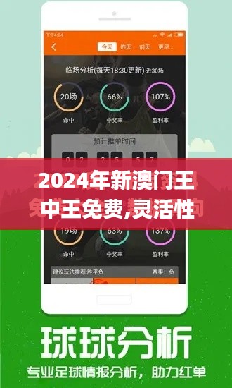 2024年新澳门王中王免费,灵活性方案解析_X版10.314