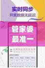 管家婆最准一肖一特,衡量解答解释落实_财务款49.594