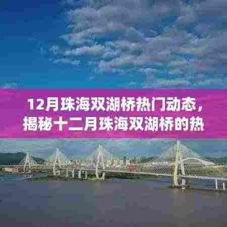 揭秘十二月珠海双湖桥的热门动态与最新进展