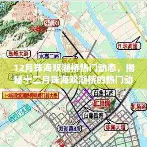 揭秘十二月珠海双湖桥的热门动态与最新进展