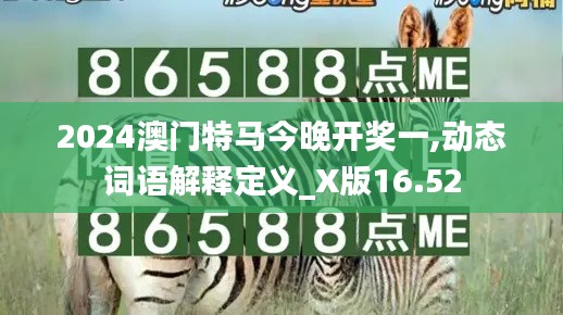 2024澳门特马今晚开奖一,动态词语解释定义_X版16.52