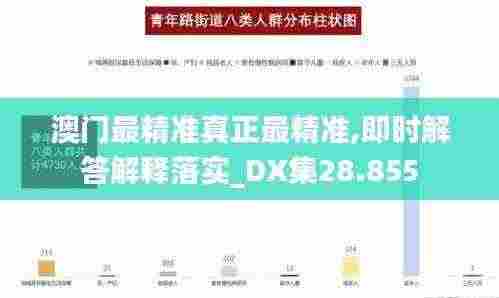 澳门最精准真正最精准,即时解答解释落实_DX集28.855