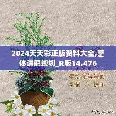 2024天天彩正版资料大全,整体讲解规划_R版14.476