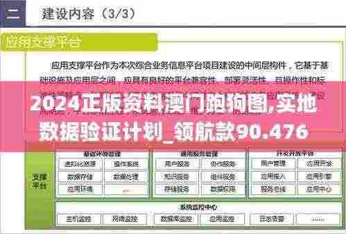 2024正版资料澳门跑狗图,实地数据验证计划_领航款90.476