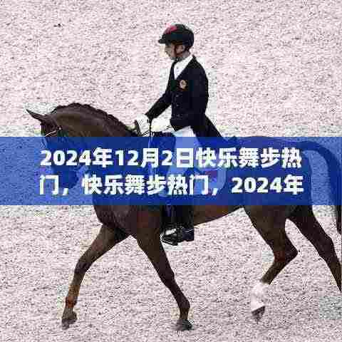 2024年12月2日快乐舞步热门产品评测与介绍,舞动你的步伐