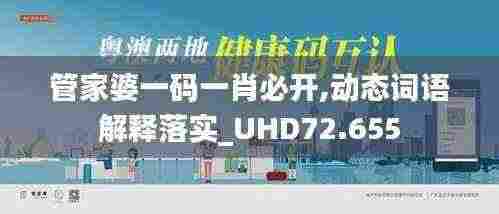 管家婆一码一肖必开,动态词语解释落实_UHD72.655