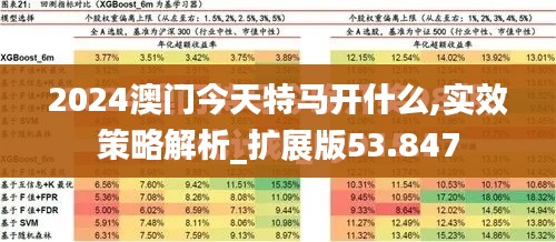 2024澳门今天特马开什么,实效策略解析_扩展版53.847