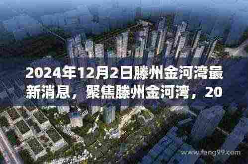 2024年12月2日滕州金河湾最新动态解读与聚焦