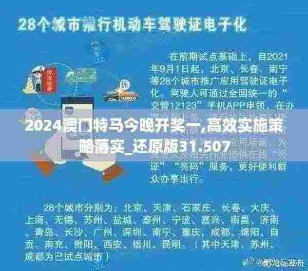 2024澳门特马今晚开奖一,高效实施策略落实_还原版31.507