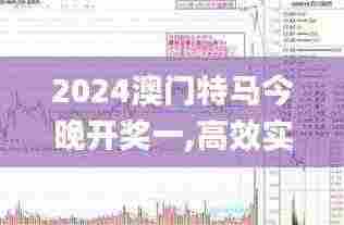 2024澳门特马今晚开奖一,高效实施策略落实_还原版31.507