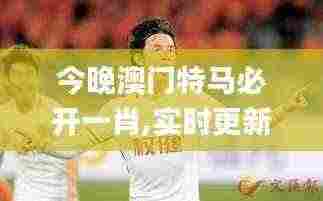 今晚澳门特马必开一肖,实时更新解释定义_体坛版59.118