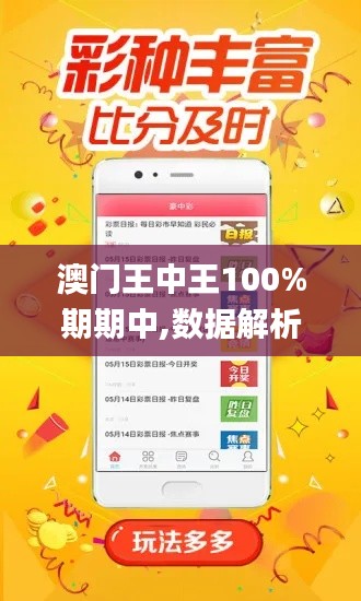 澳门王中王100%期期中,数据解析导向计划_基础版16.685