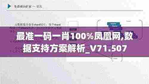最准一码一肖100%凤凰网,数据支持方案解析_V71.507