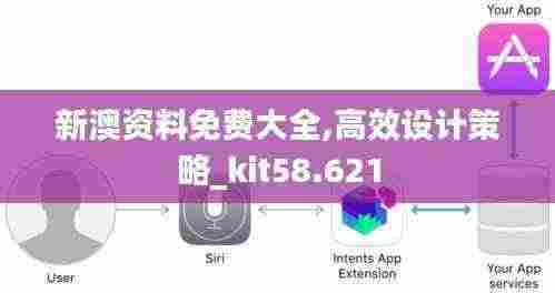 新澳资料免费大全,高效设计策略_kit58.621