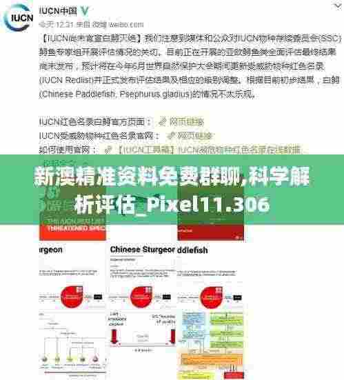 新澳精准资料免费群聊,科学解析评估_Pixel11.306