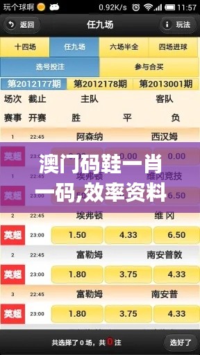澳门码鞋一肖一码,效率资料解释落实_app21.118
