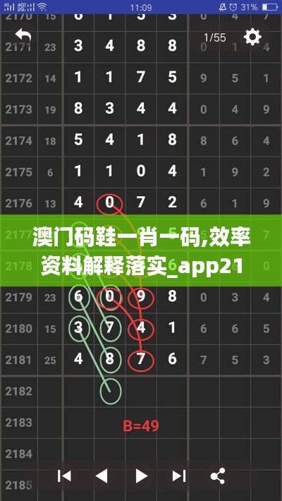 澳门码鞋一肖一码,效率资料解释落实_app21.118