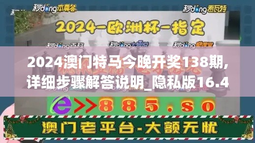 2024澳门特马今晚开奖138期,详细步骤解答说明_隐私版16.456