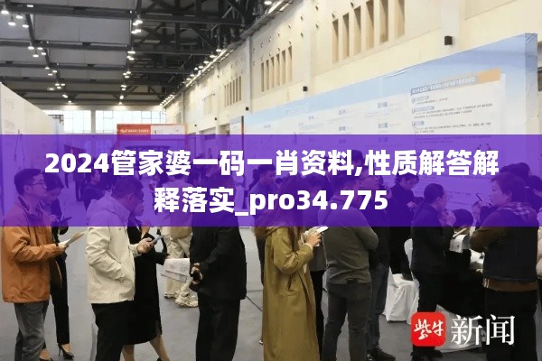 2024管家婆一码一肖资料,性质解答解释落实_pro34.775