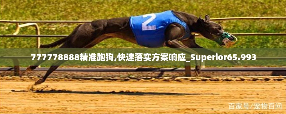 777778888精准跑狗,快速落实方案响应_Superior65.993