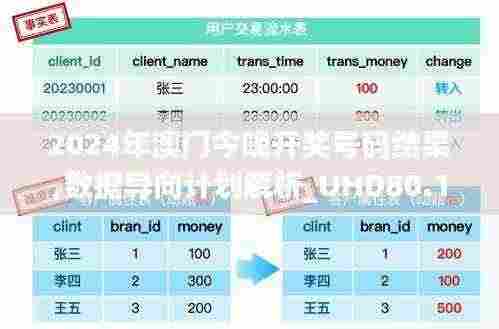 2024年澳门今晚开奖号码结果,数据导向计划解析_UHD80.189